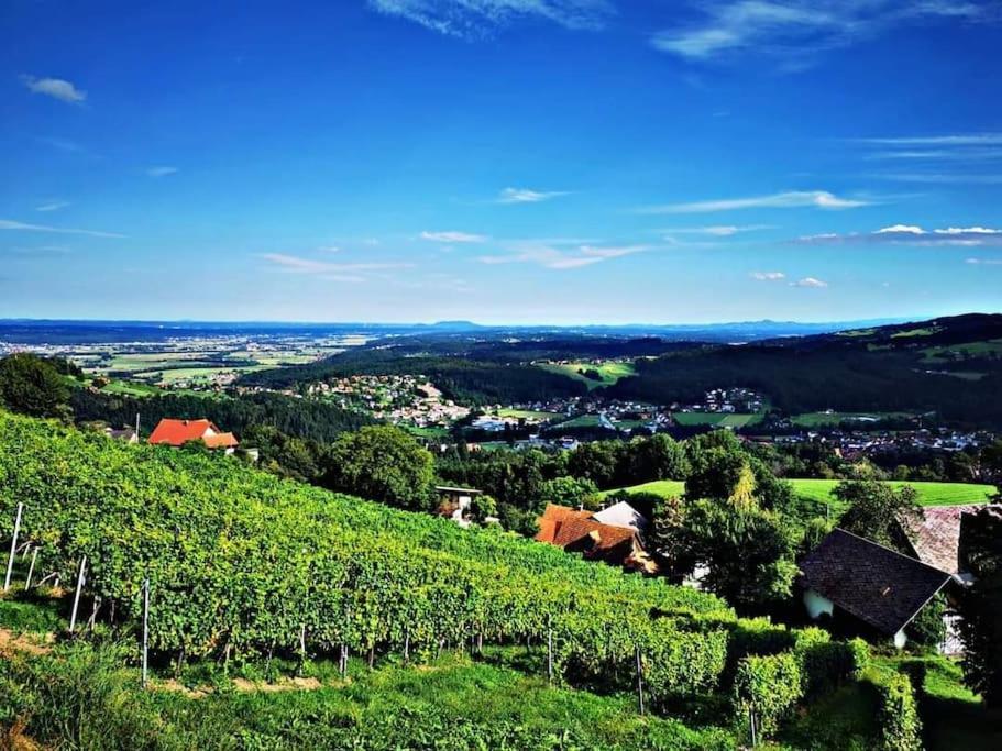 Wiednermichl - Urlaub In Den Weinbergen Krottendorf bei Ligist Kültér fotó